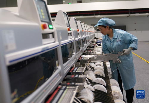 为智能制造立标杆 探访浙江 未来工厂