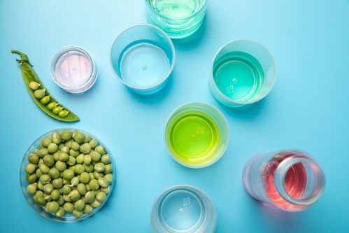 实验试剂豌豆农业科技食品培育摄影图 摄影图 下载至来源处